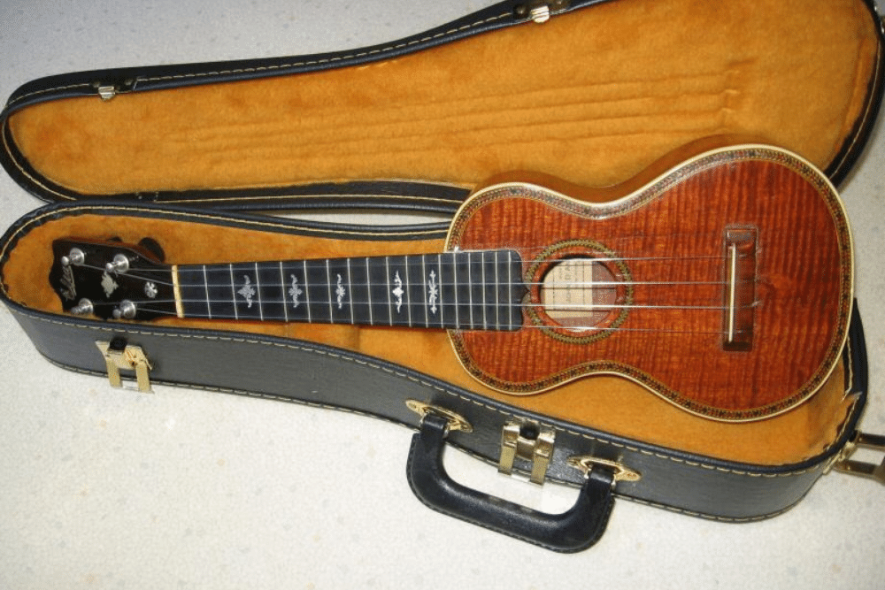 the elia ukulele laying in its case