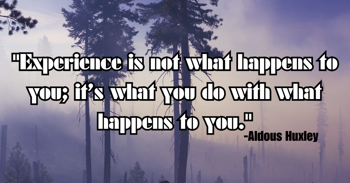 "Experience is not what happens to you; it’s what you do with what happens to you."
