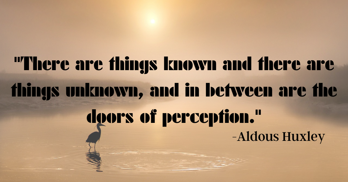 "There are things known and there are things unknown, and in between are the doors of perception."