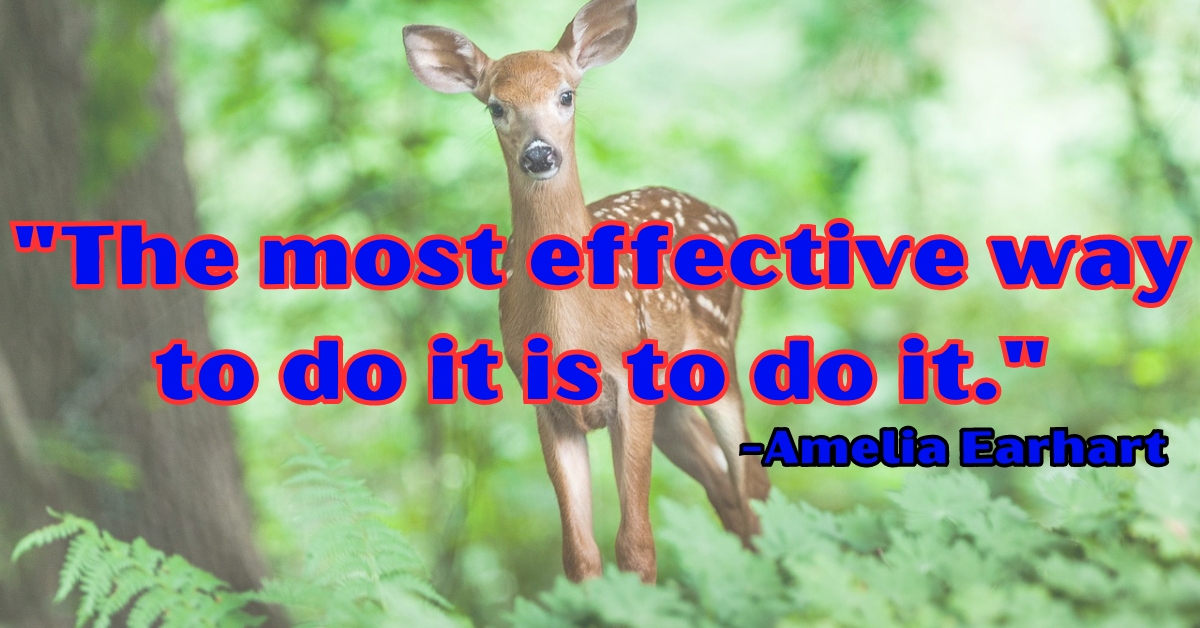 "The most effective way to do it is to do it."