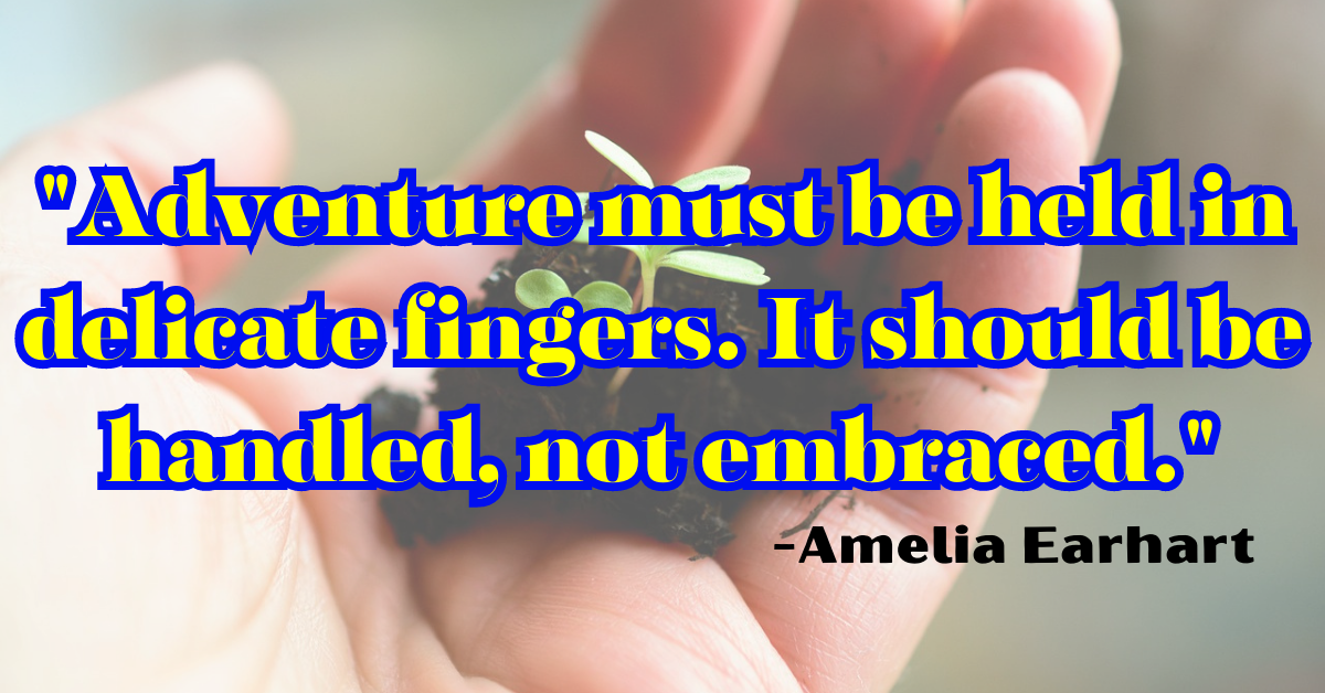 "Adventure must be held in delicate fingers. It should be handled, not embraced."