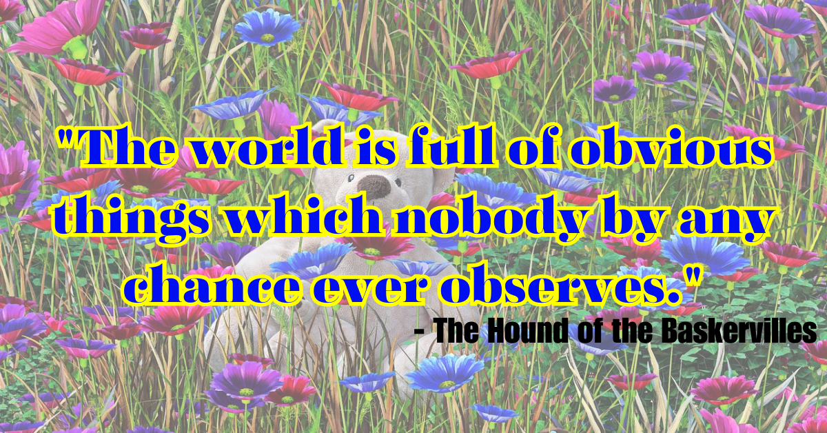 "The world is full of obvious things which nobody by any chance ever observes." - The Hound of the Baskervilles