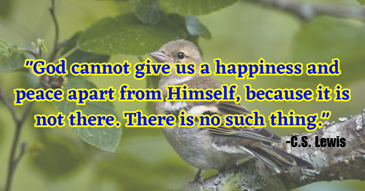 "God cannot give us a happiness and peace apart from Himself, because it is not there. There is no such thing."