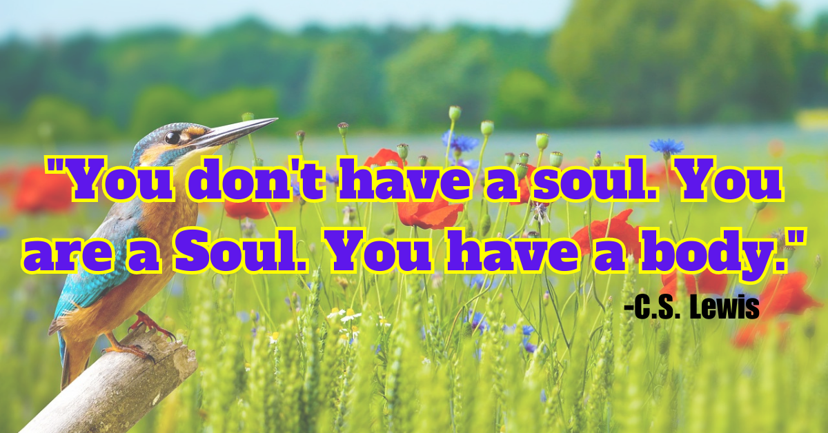 "You don't have a soul. You are a Soul. You have a body."