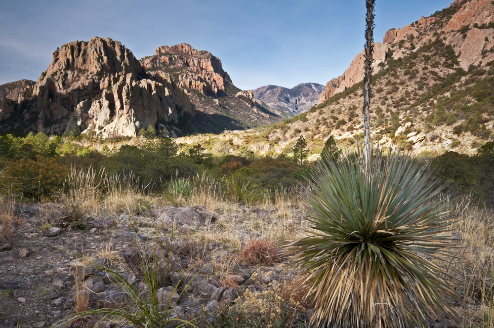 Sunrise in Cave Creek Canyon