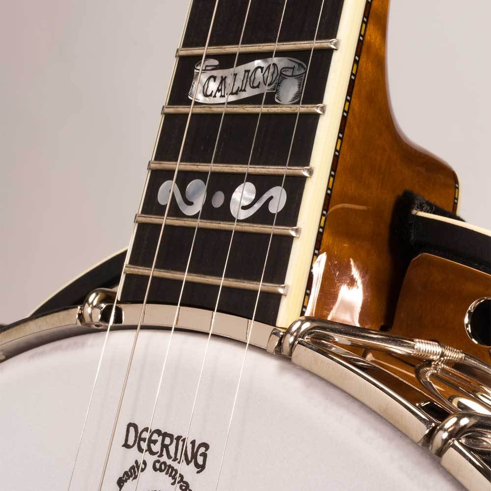 Deering Calico Banjo price, expensive banjos