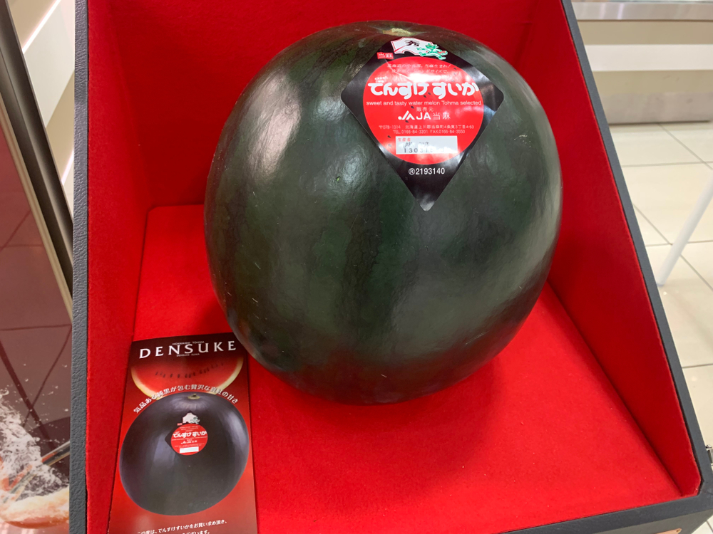 Densuke Watermelon price, most expensive fruits