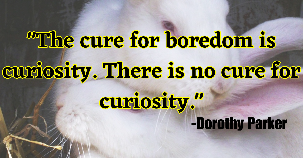 "The cure for boredom is curiosity. There is no cure for curiosity."
