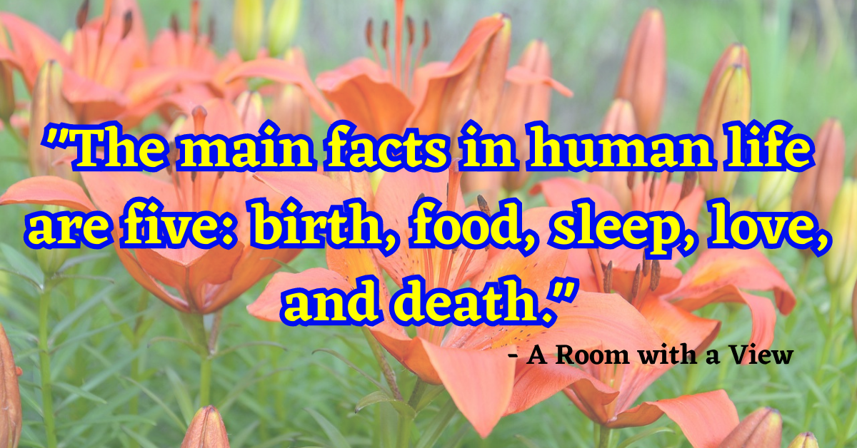"The main facts in human life are five: birth, food, sleep, love, and death." - A Room with a View