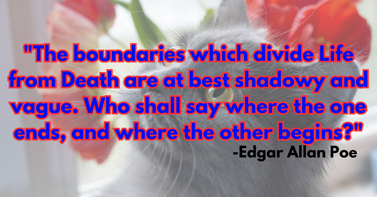 "The boundaries which divide Life from Death are at best shadowy and vague. Who shall say where the one ends, and where the other begins?"