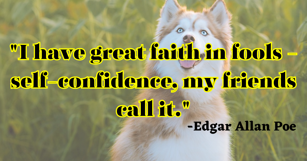 "I have great faith in fools - self-confidence, my friends call it."