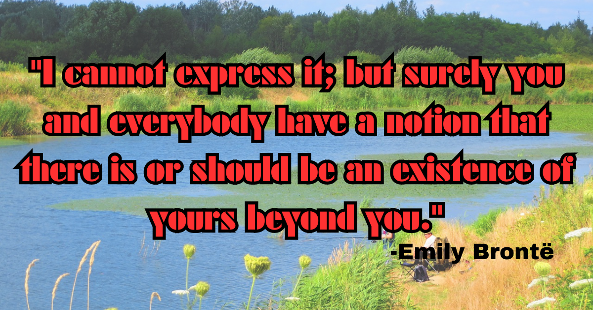 "I cannot express it; but surely you and everybody have a notion that there is or should be an existence of yours beyond you."