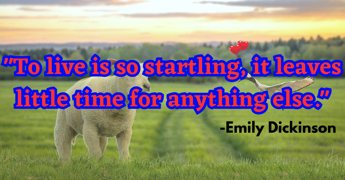 "To live is so startling, it leaves little time for anything else."
