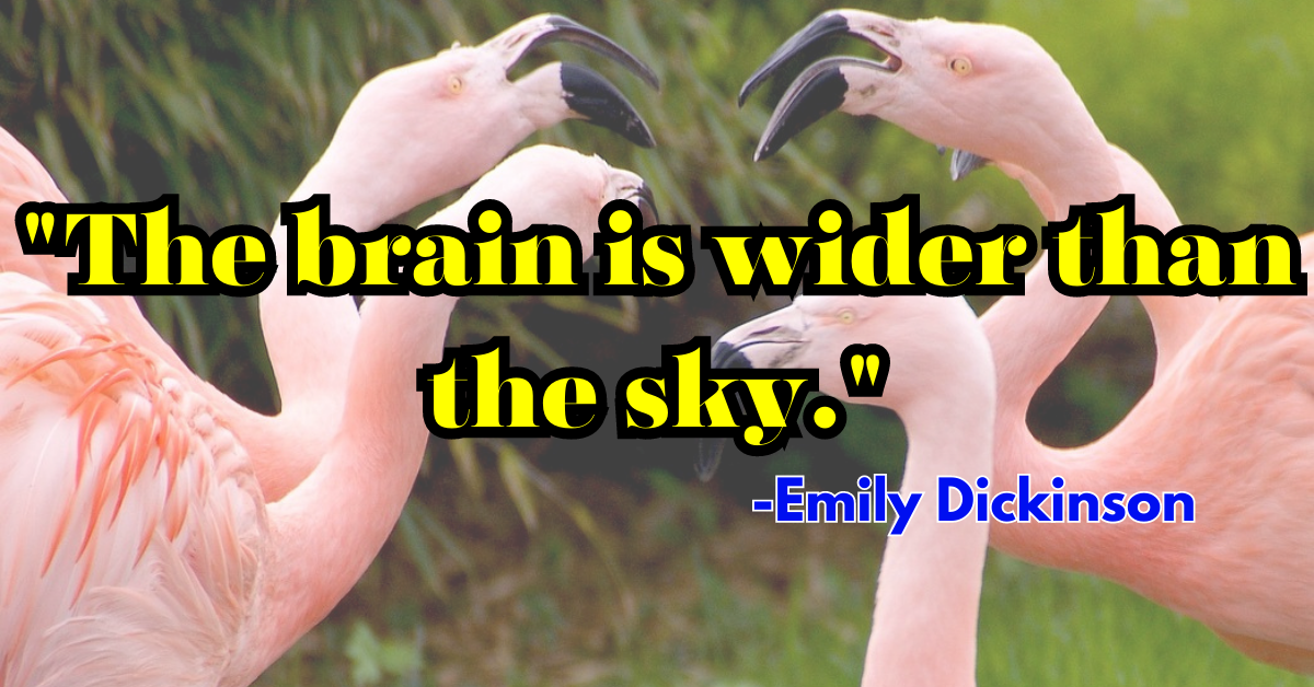 "The brain is wider than the sky."