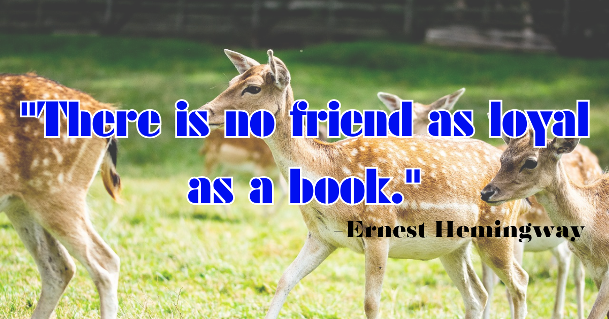 "There is no friend as loyal as a book."