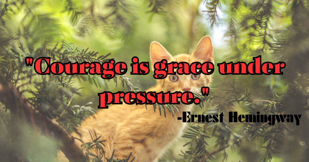 "Courage is grace under pressure."