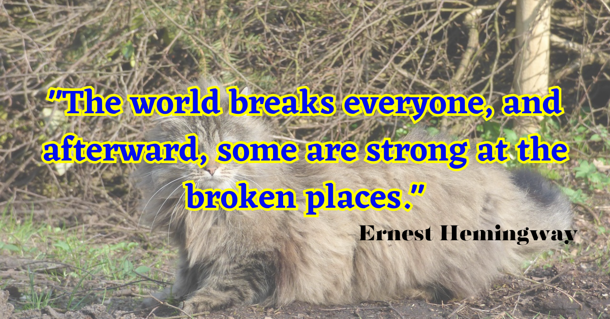 "The world breaks everyone, and afterward, some are strong at the broken places."