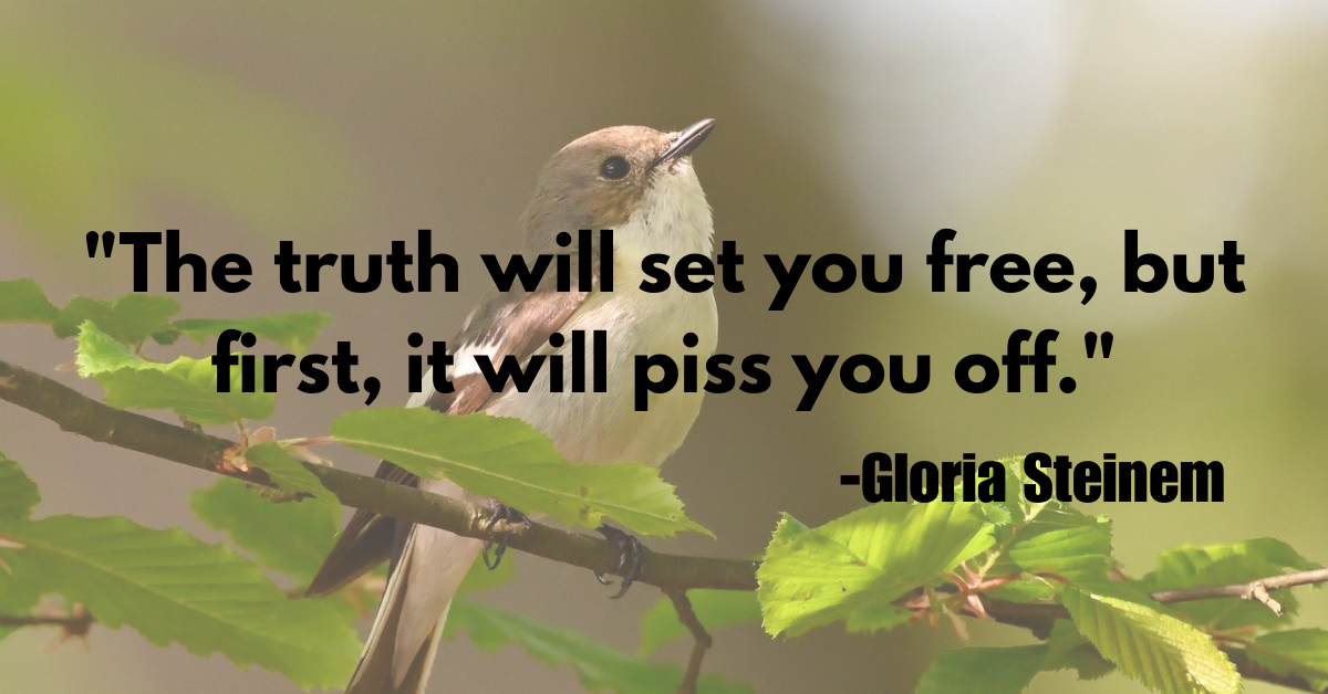 "The truth will set you free, but first, it will piss you off."