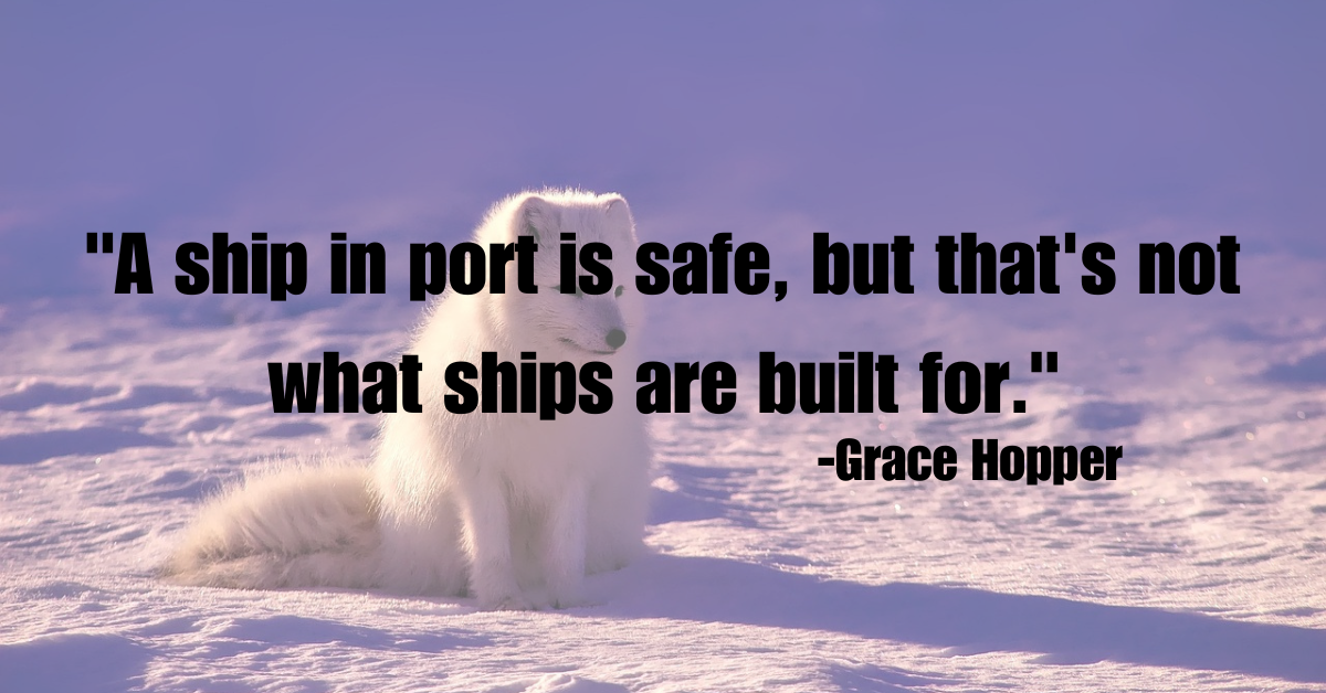 "A ship in port is safe, but that's not what ships are built for."