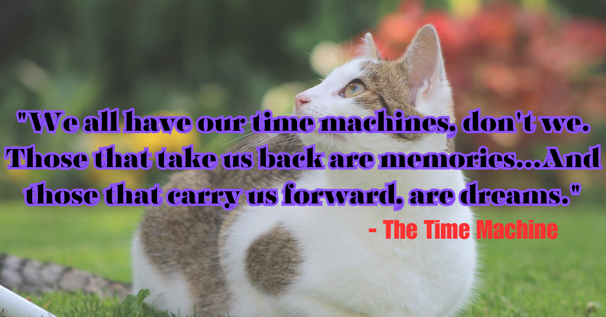 "We all have our time machines, don't we. Those that take us back are memories...And those that carry us forward, are dreams." - The Time Machine