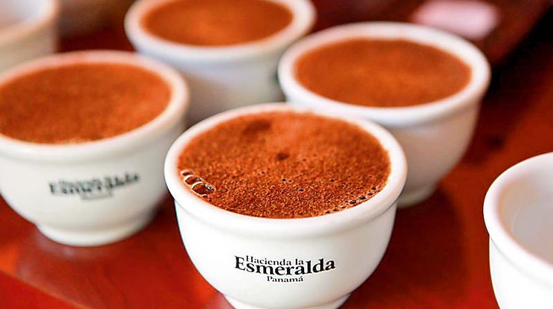 Expensive Coffees, Hacienda la Esmeralda (Panama) price