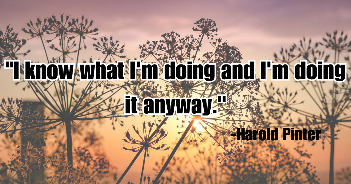 "I know what I'm doing and I'm doing it anyway."