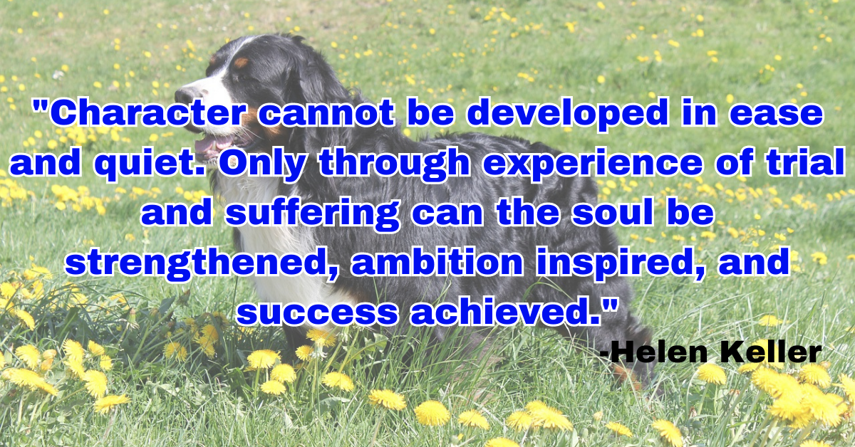 "Character cannot be developed in ease and quiet. Only through experience of trial and suffering can the soul be strengthened, ambition inspired, and success achieved."