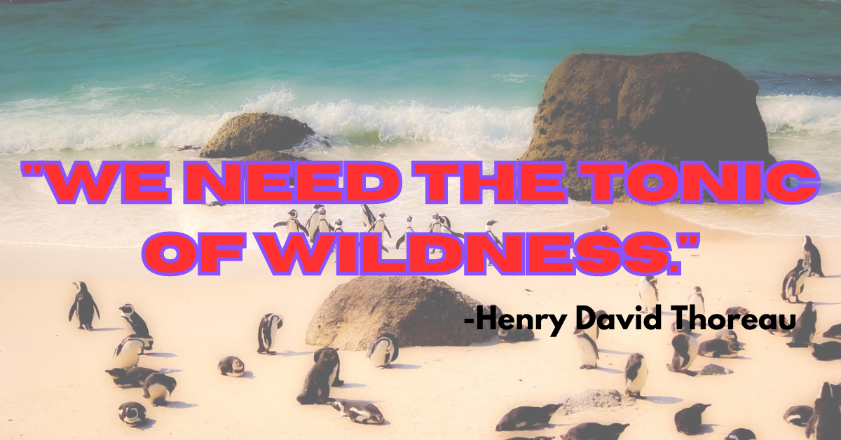 "We need the tonic of wildness."
