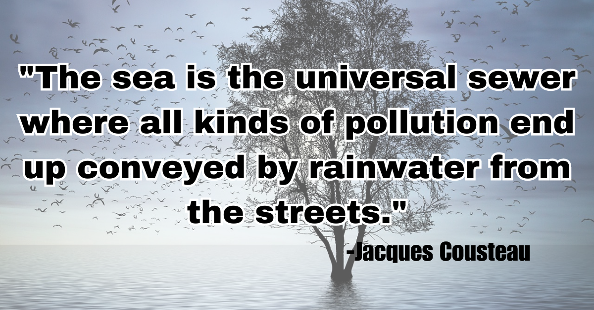 "The sea is the universal sewer where all kinds of pollution end up conveyed by rainwater from the streets."