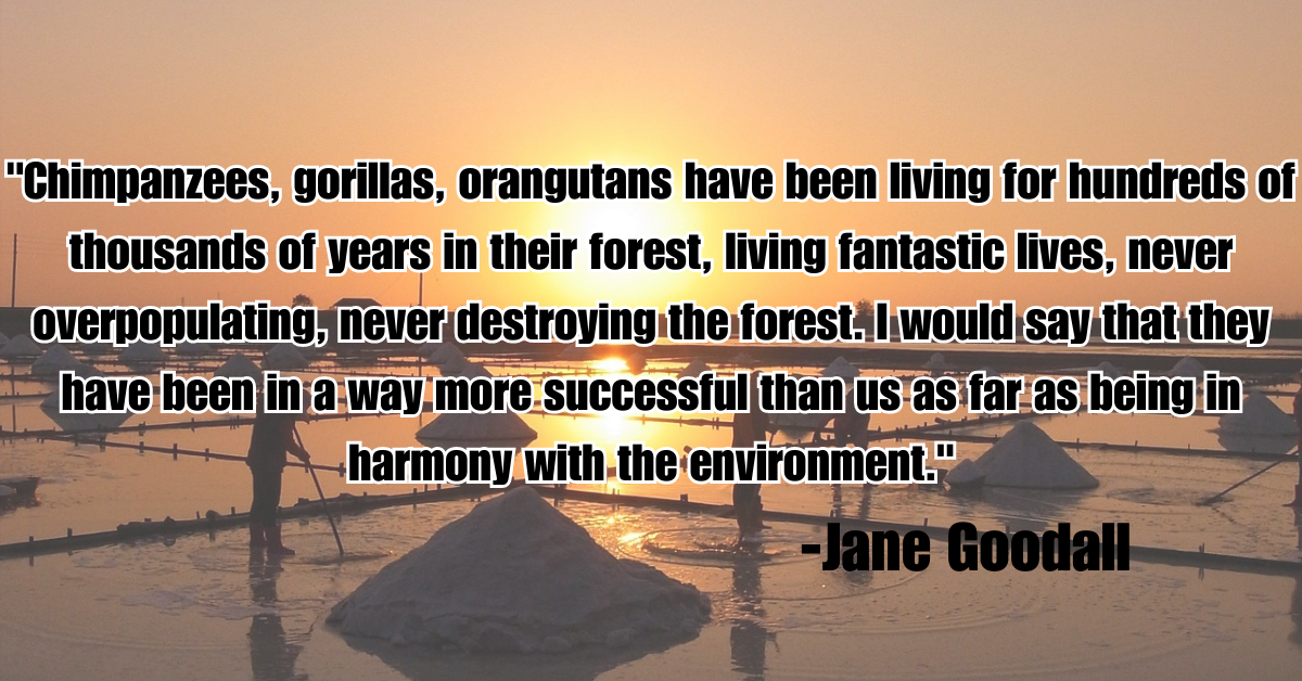"Chimpanzees, gorillas, orangutans have been living for hundreds of thousands of years in their forest, living fantastic lives, never overpopulating, never destroying the forest. I would say that they have been in a way more successful than us as far as being in harmony with the environment."
