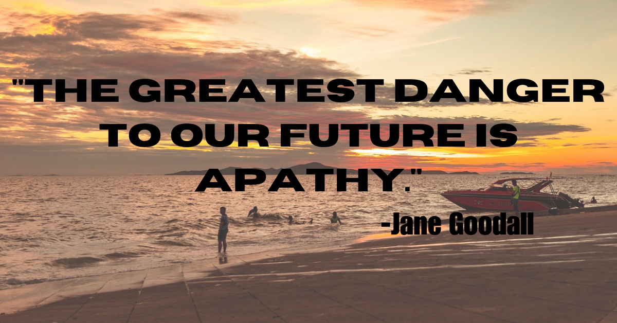 "The greatest danger to our future is apathy."