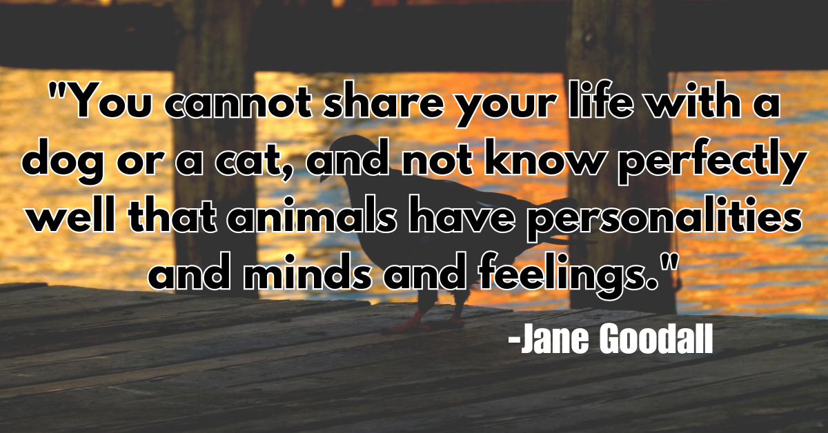 "You cannot share your life with a dog or a cat, and not know perfectly well that animals have personalities and minds and feelings."