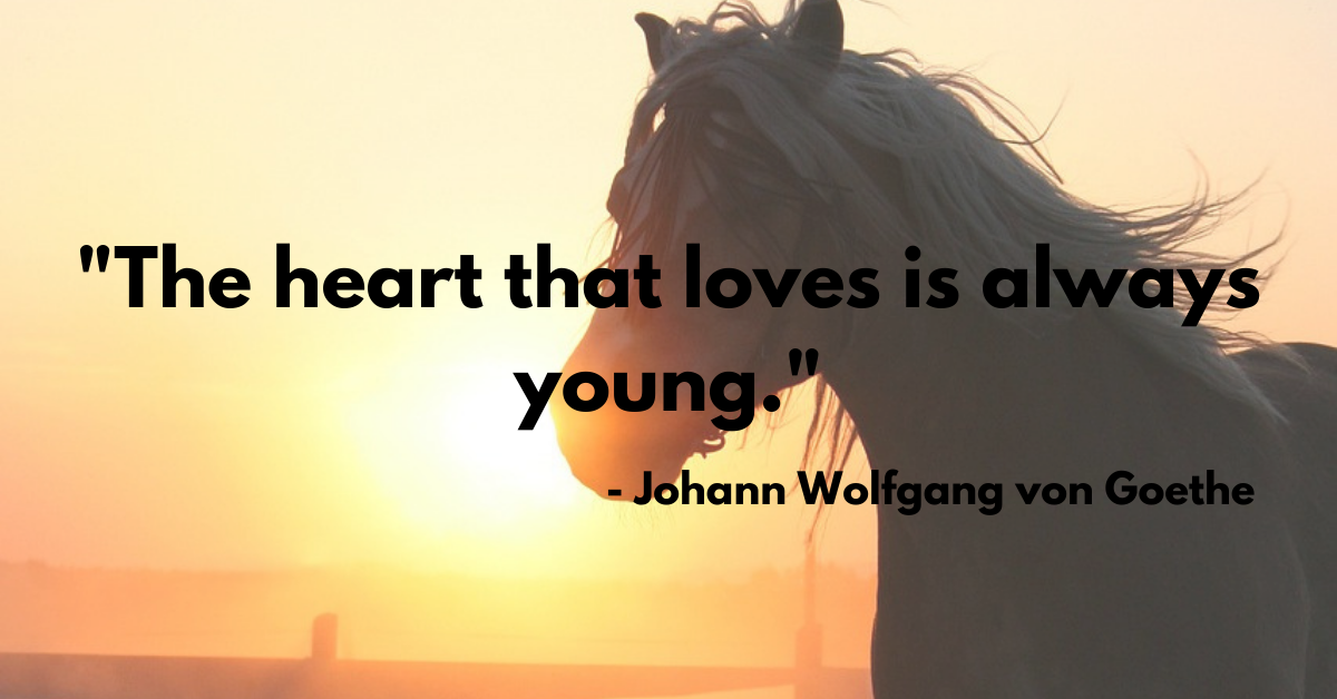 "The heart that loves is always young."