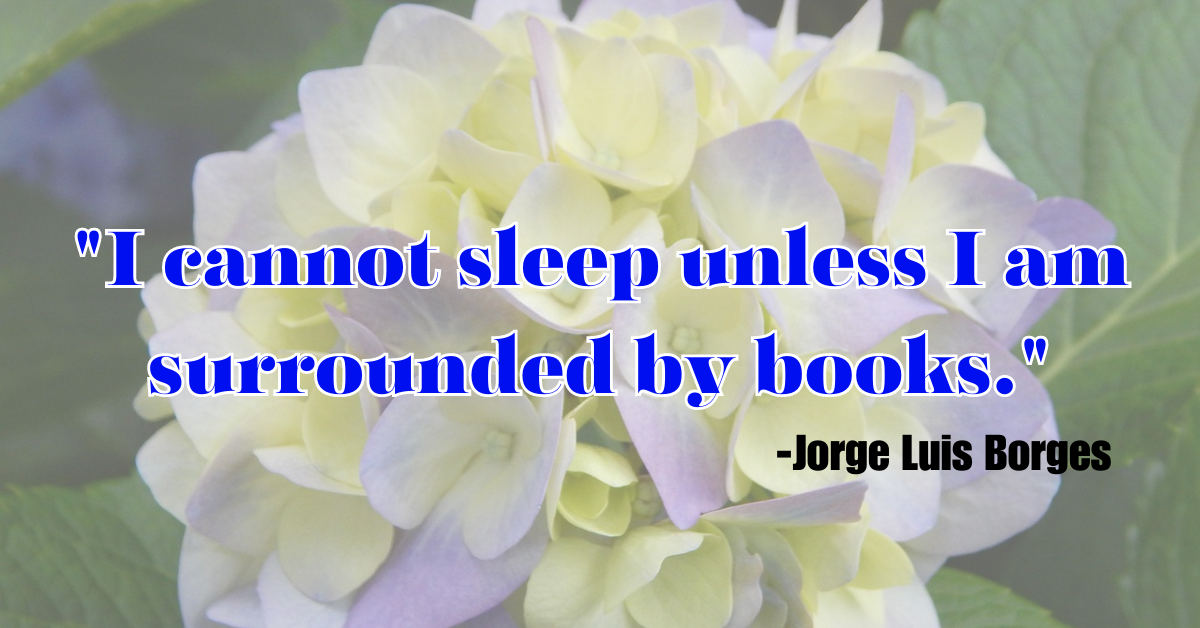 "I cannot sleep unless I am surrounded by books."