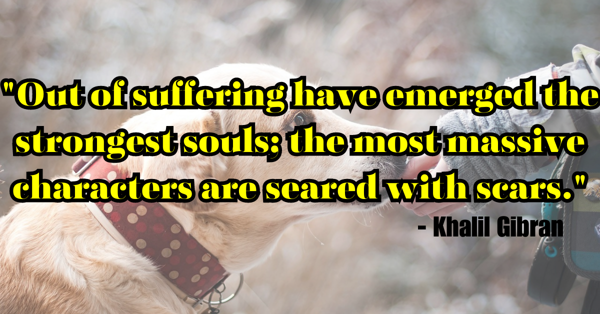 "Out of suffering have emerged the strongest souls; the most massive characters are seared with scars." - Khalil Gibran