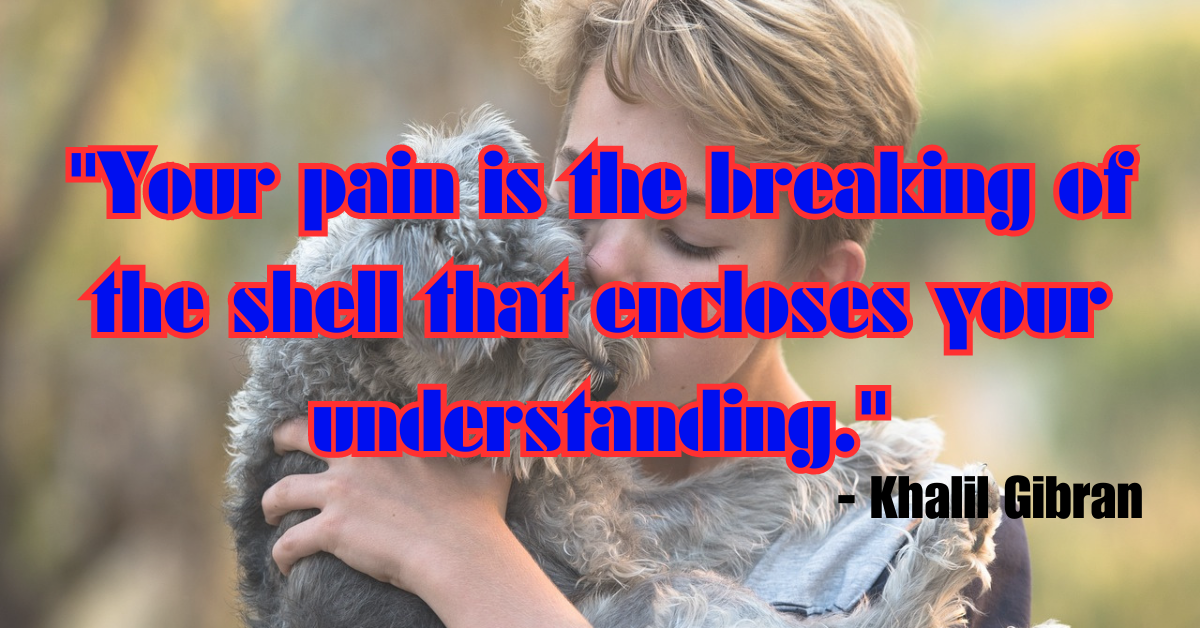"Your pain is the breaking of the shell that encloses your understanding." - Khalil Gibran