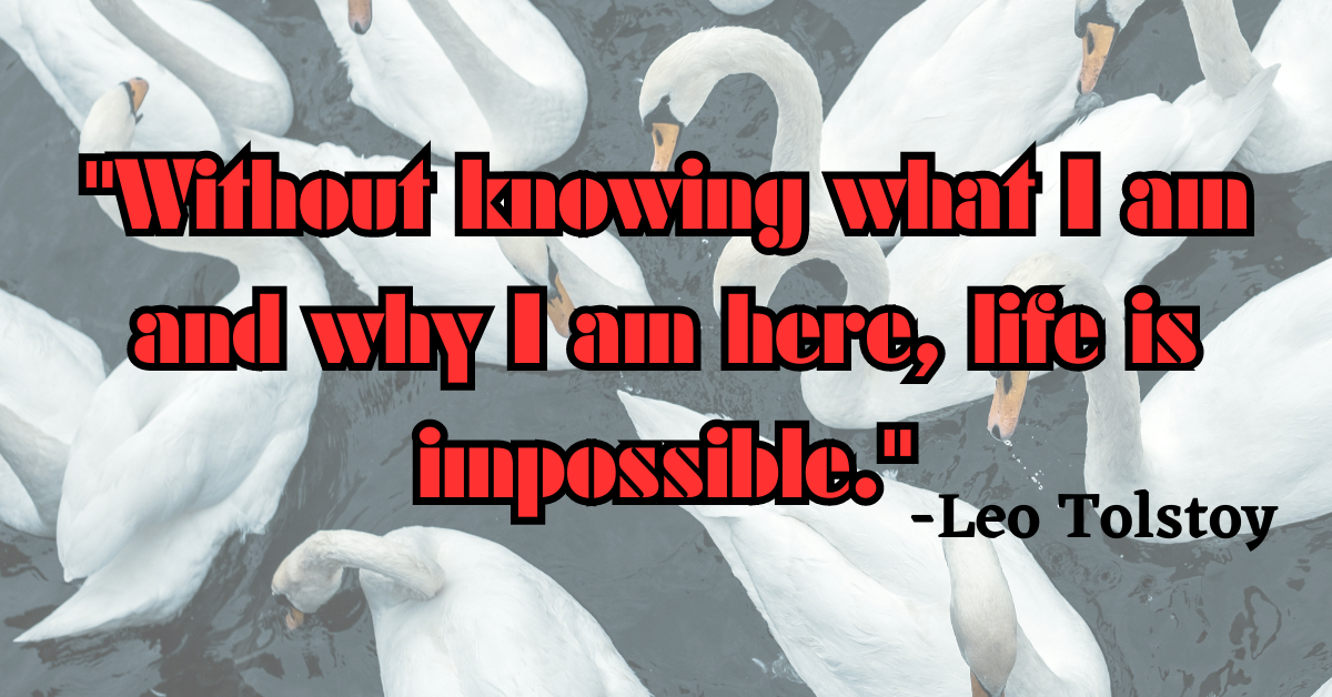 "Without knowing what I am and why I am here, life is impossible."