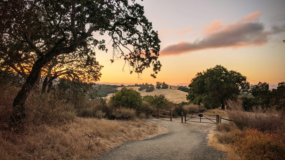 Sunset over country hills along a hike in Rancho San Antonio, Los Altos, California