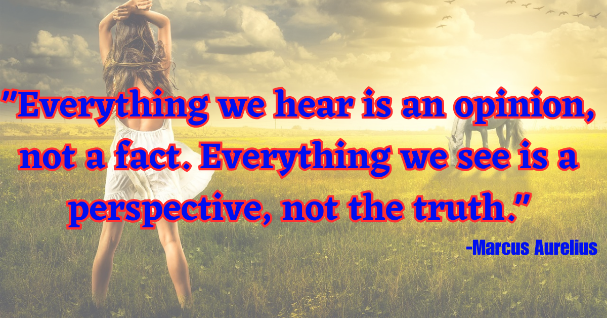 "Everything we hear is an opinion, not a fact. Everything we see is a perspective, not the truth."