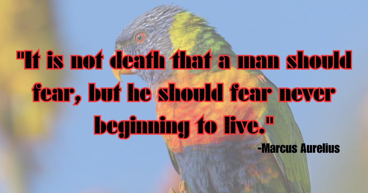 It is not death that a man should fear, but he should fear never beginning to live."