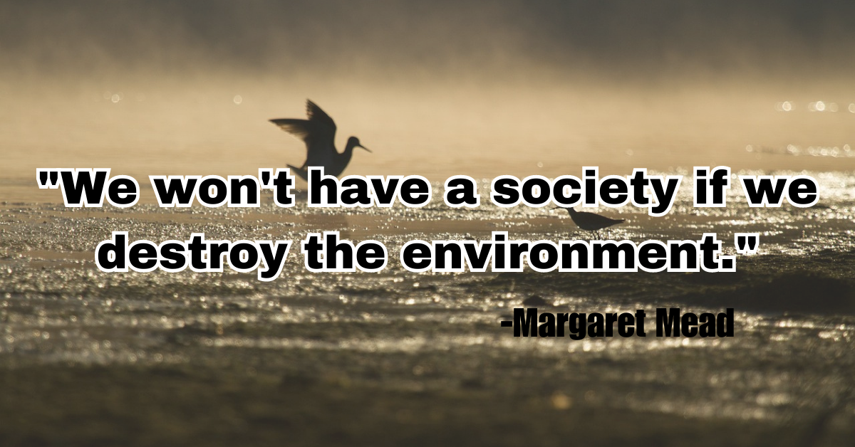 "We won't have a society if we destroy the environment."