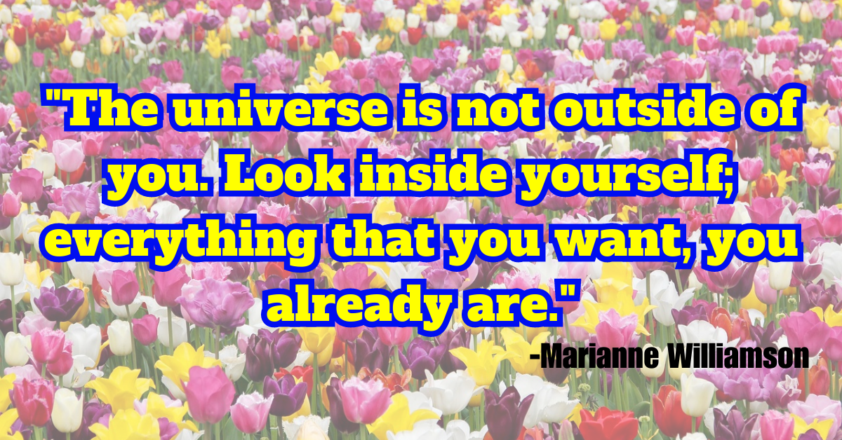 "The universe is not outside of you. Look inside yourself; everything that you want, you already are."