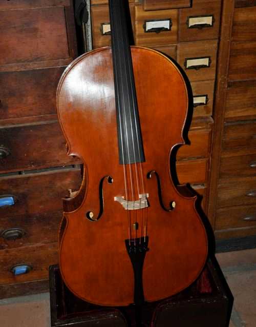 Mario Miralles Cello price