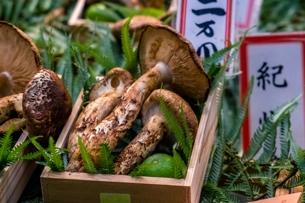 Matsutake Mushroom price