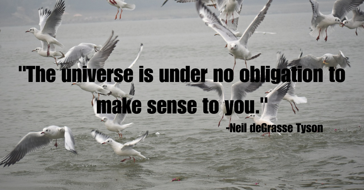 "The universe is under no obligation to make sense to you."