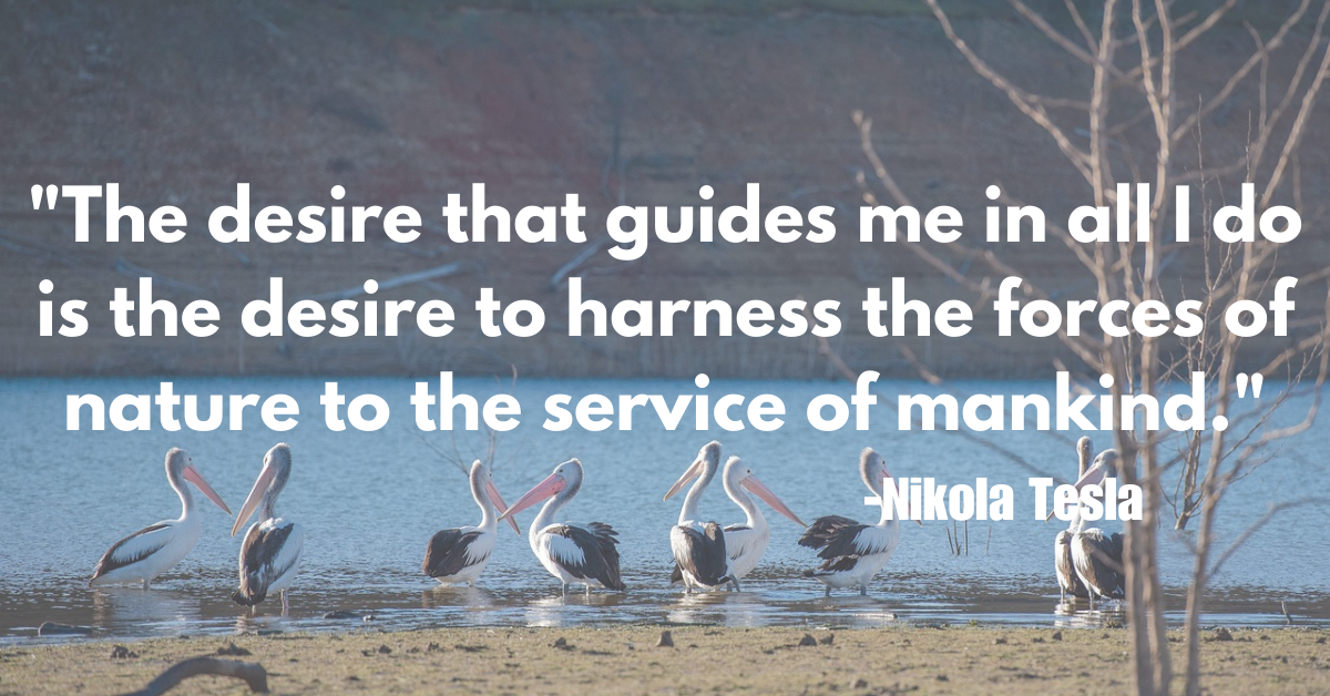 "The desire that guides me in all I do is the desire to harness the forces of nature to the service of mankind."