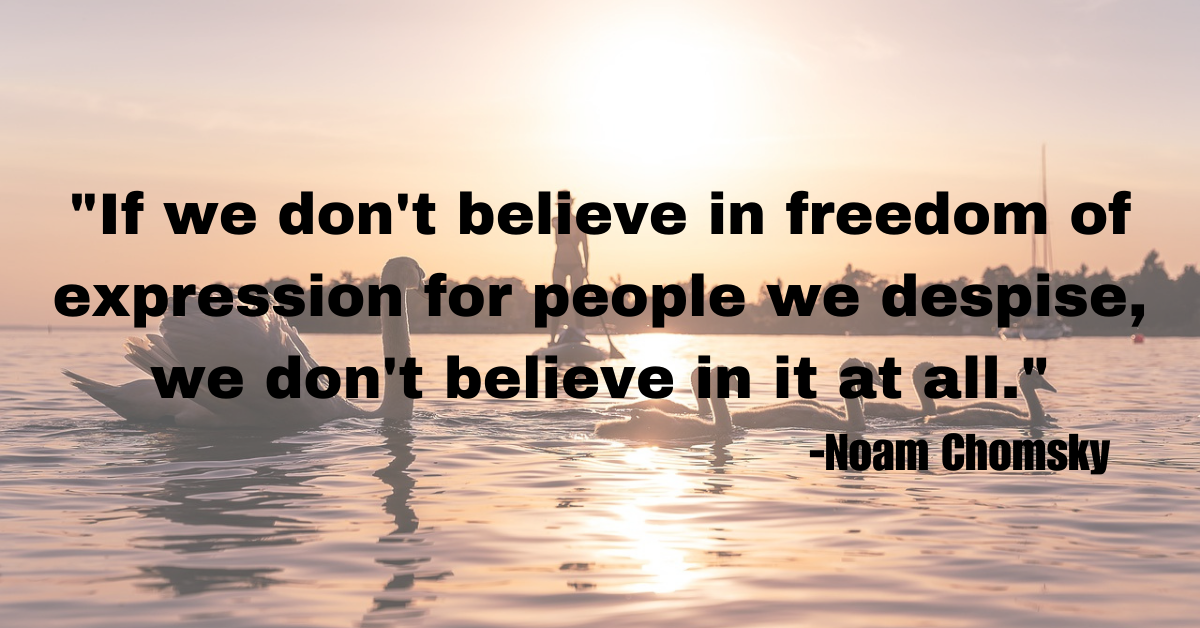 "If we don't believe in freedom of expression for people we despise, we don't believe in it at all."