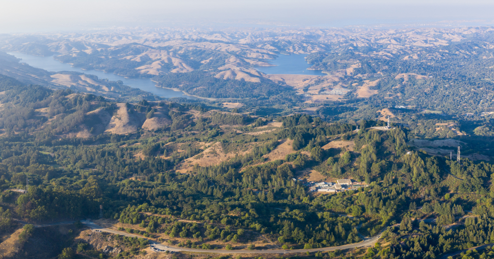 A view from the hill top. Orinda, CA