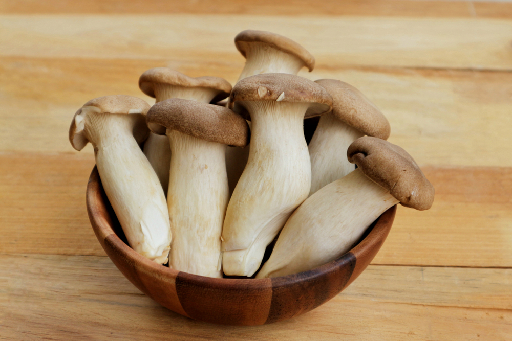 Oyster Mushroom price