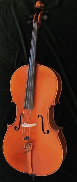 Patrizius Stradivarius Cello price